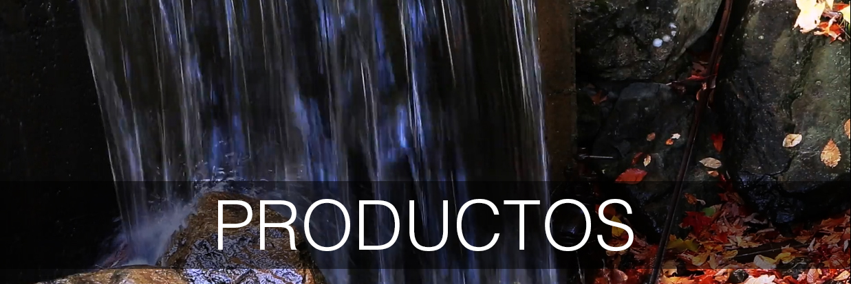 Productos